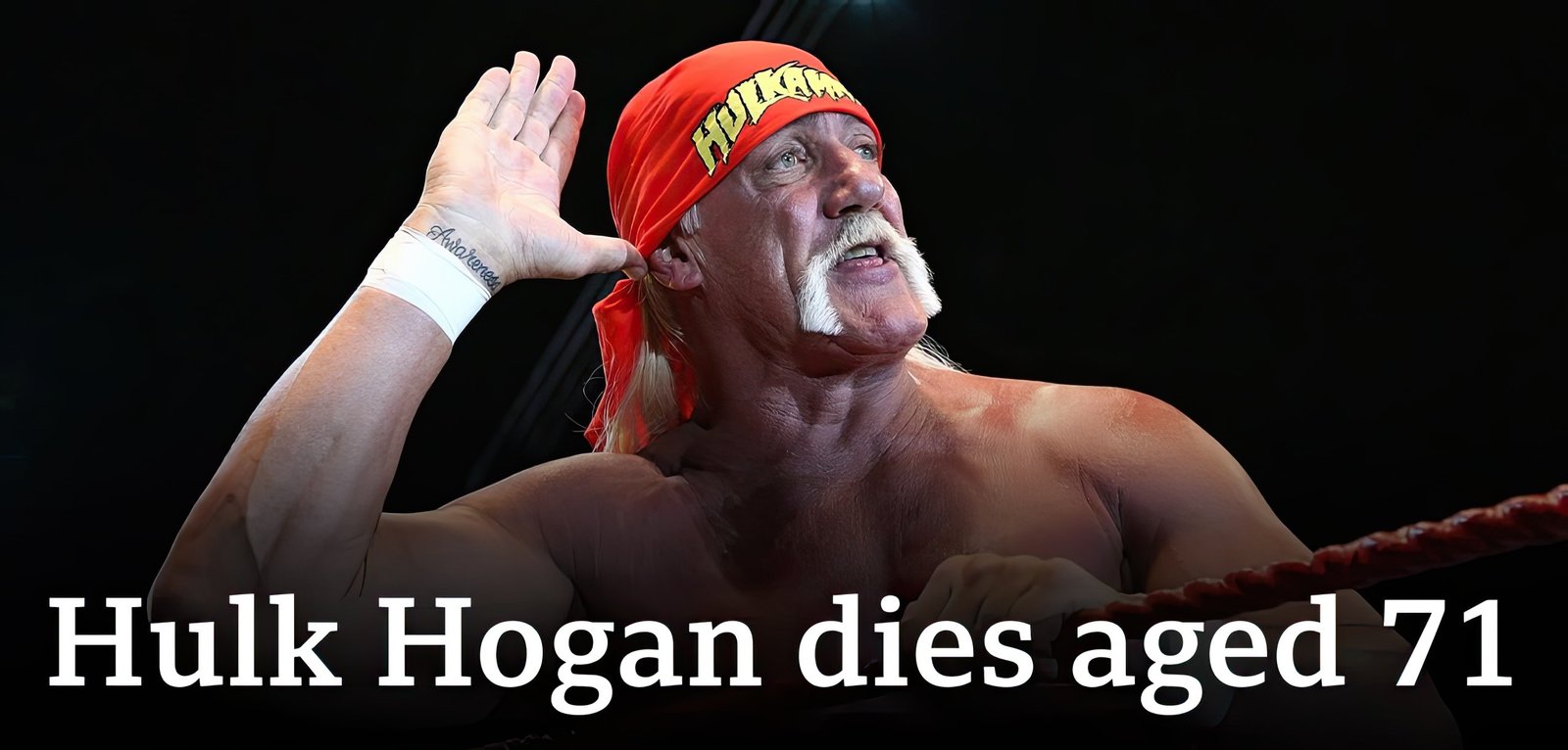 Hulk Hogan