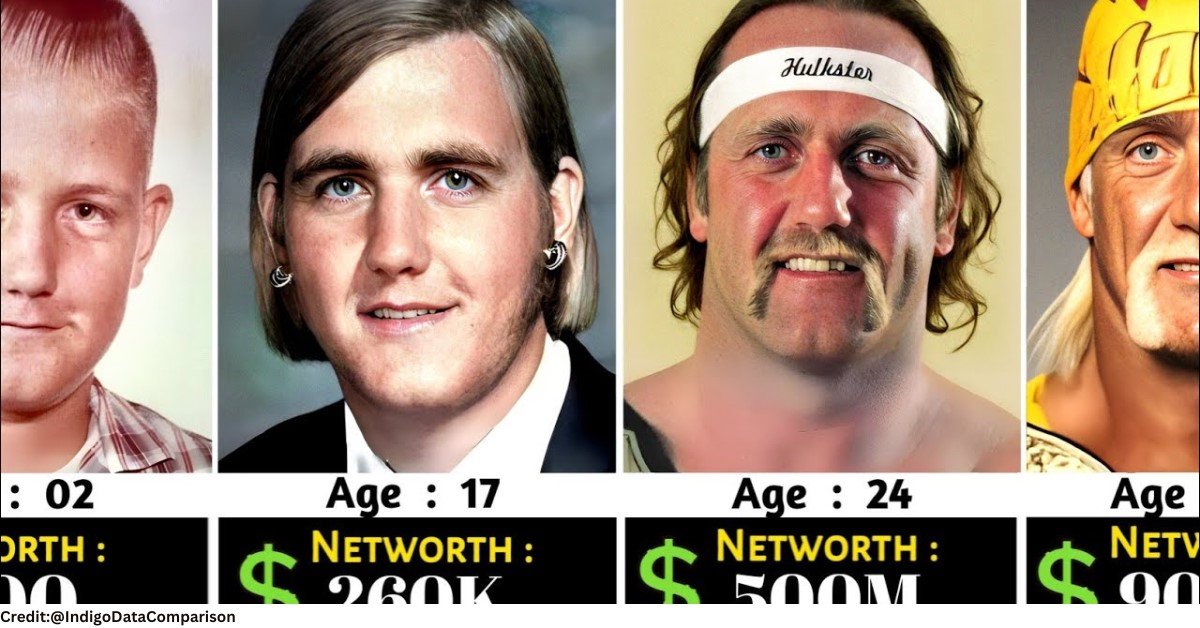 hulk hogan's net worth