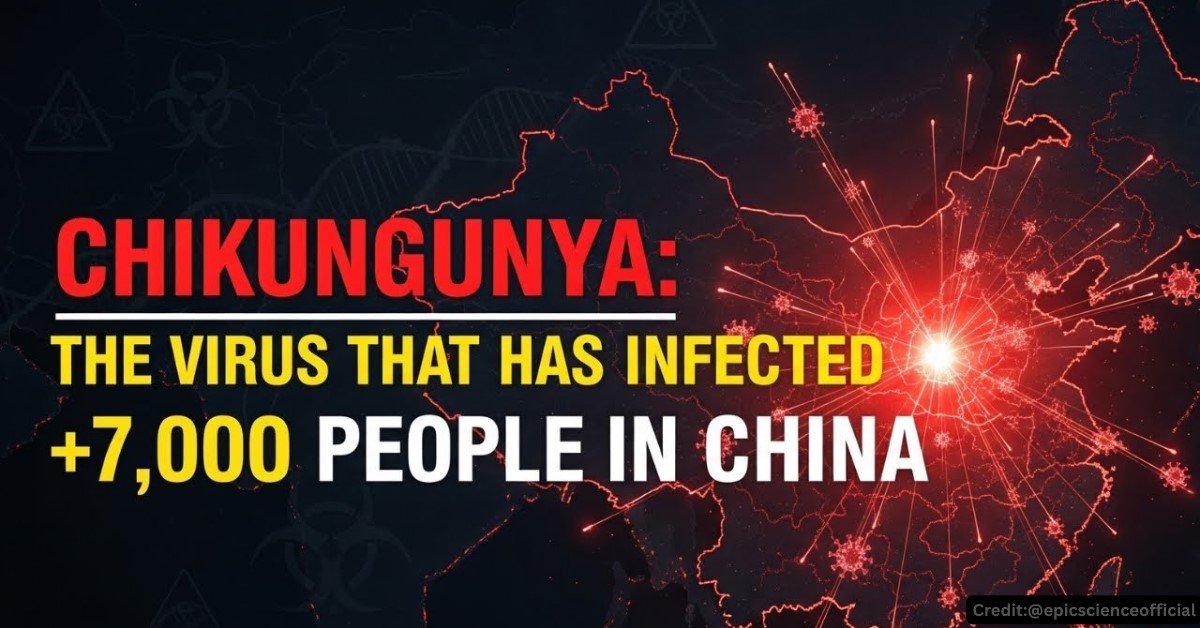 Chikungunya